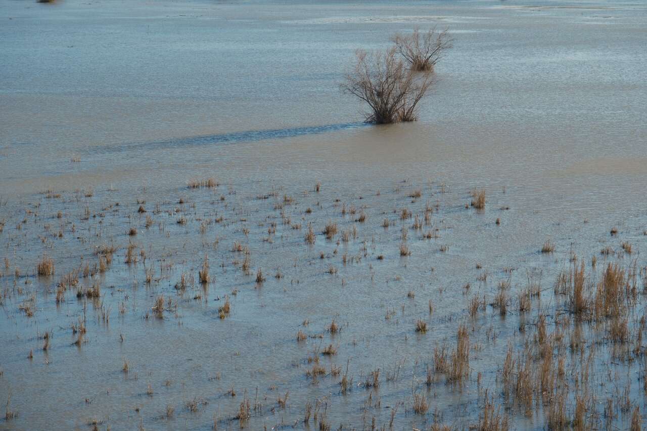 Konya’da kuraklığın vurduğu gölde yıllar sonra bir ilk yaşandı 3